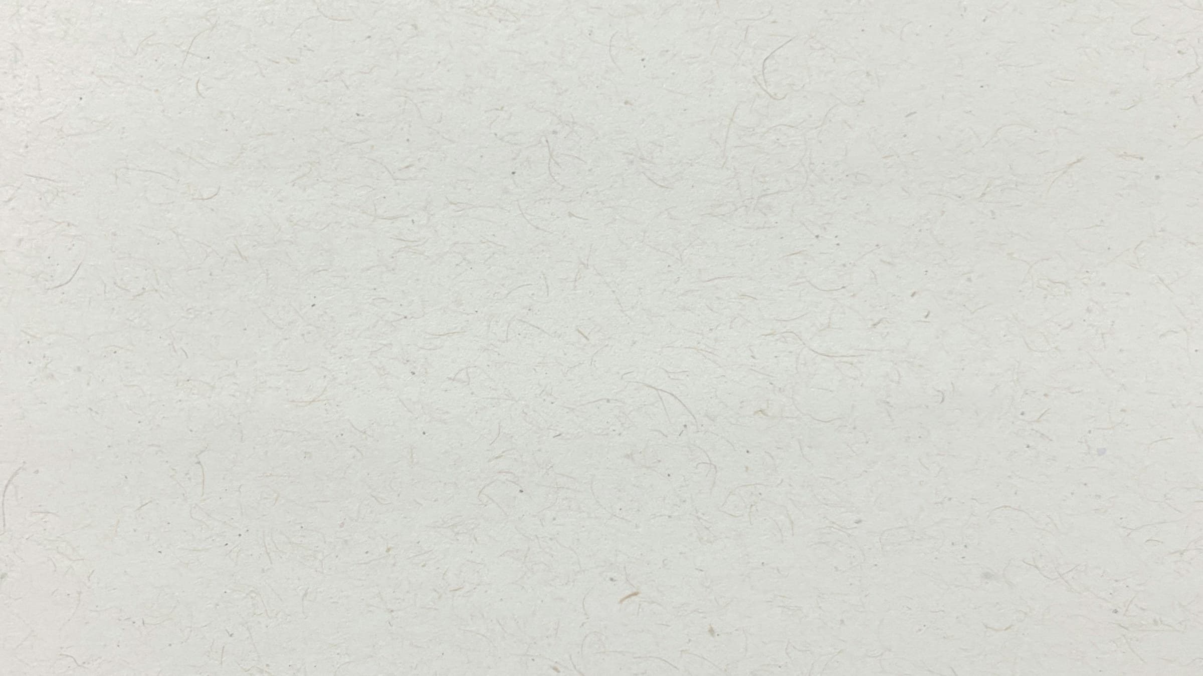 Close-up of textured archival paper