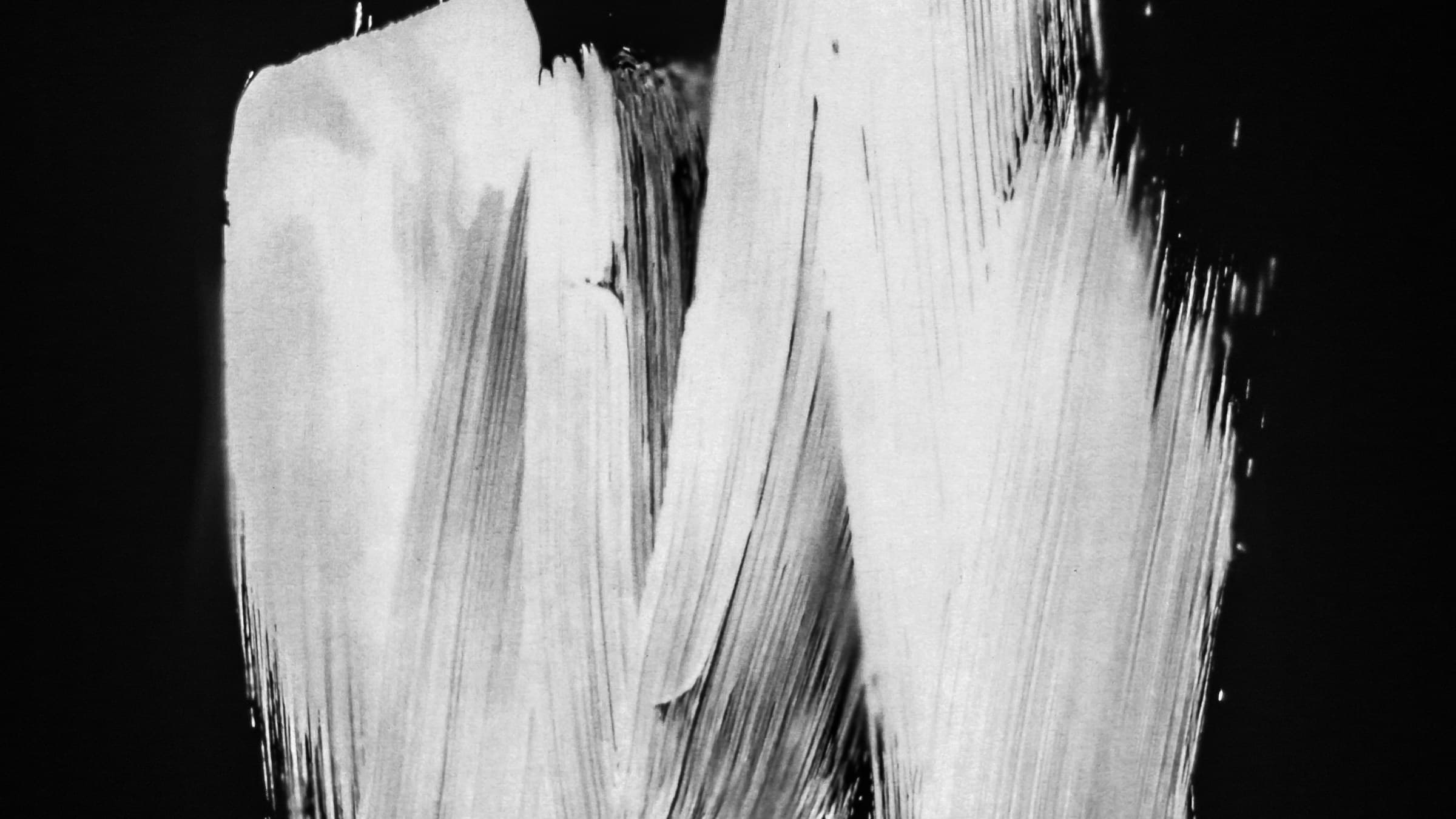 Close-up of a black and white painted brushstroke