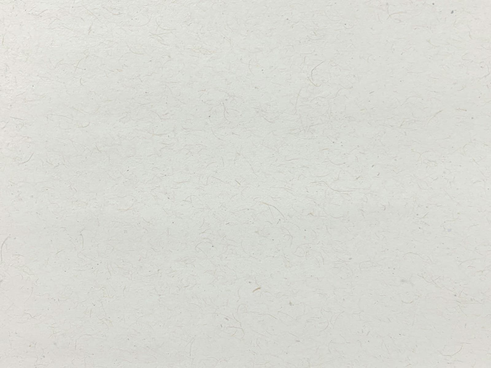 Close-up of textured archival paper