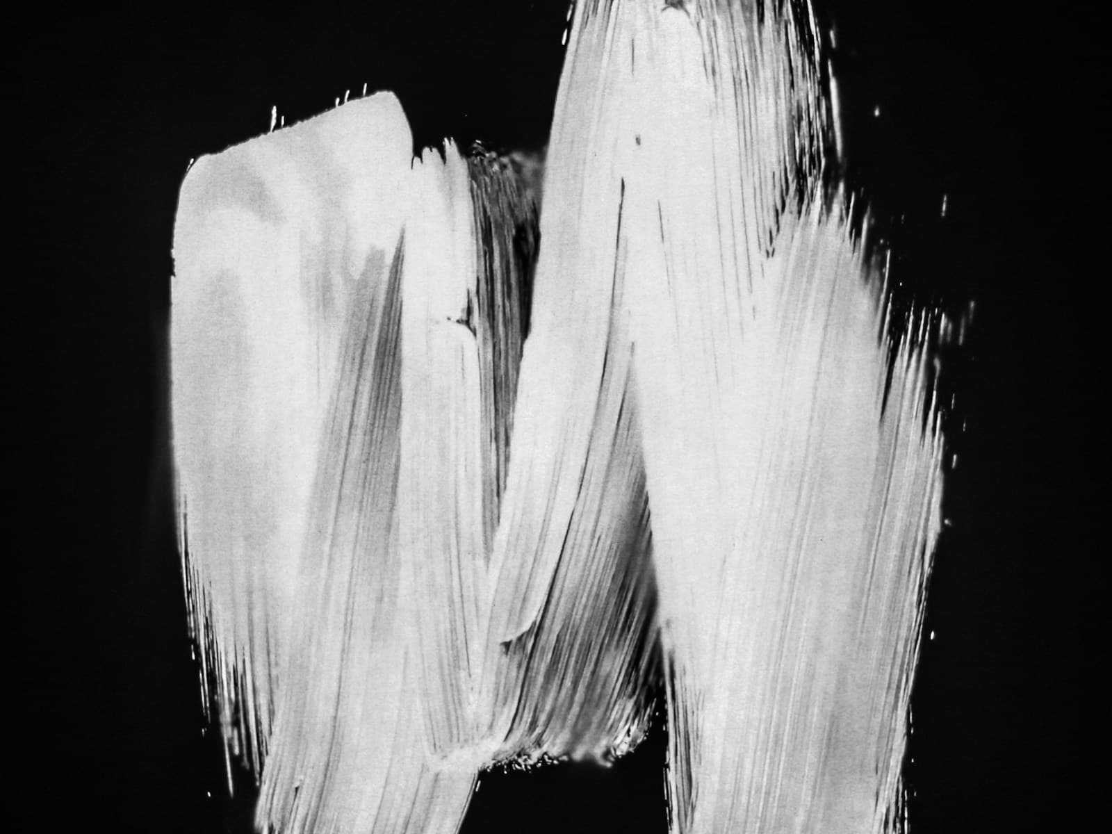 Close-up of a black and white painted brushstroke